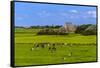 Germany, Schleswig-Holstein, North Frisia, Peninsula Eider (River)Stedt, Westerhever-Udo Siebig-Framed Stretched Canvas