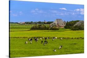 Germany, Schleswig-Holstein, North Frisia, Peninsula Eider (River)Stedt, Westerhever-Udo Siebig-Stretched Canvas