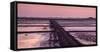 Germany, Schleswig-Holstein, North Frisia, Peninsula North Beach, Hallig Nordstrandischmoor-Udo Siebig-Framed Stretched Canvas