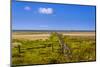 Germany, Schleswig-Holstein, North Frisia, Peninsula North Beach, the West-Udo Siebig-Mounted Photographic Print