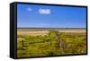 Germany, Schleswig-Holstein, North Frisia, Peninsula North Beach, the West-Udo Siebig-Framed Stretched Canvas