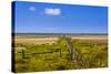 Germany, Schleswig-Holstein, North Frisia, Peninsula North Beach, the West-Udo Siebig-Stretched Canvas