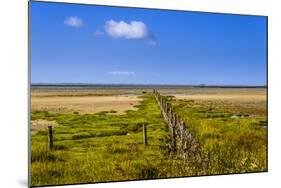 Germany, Schleswig-Holstein, North Frisia, Peninsula North Beach, the West-Udo Siebig-Mounted Photographic Print