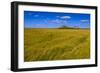 Germany, Schleswig-Holstein, North Frisia, Reu§enkšge, Hamburg Hallig-Udo Siebig-Framed Photographic Print