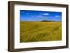 Germany, Schleswig-Holstein, North Frisia, Reu§enkšge, Hamburg Hallig-Udo Siebig-Framed Photographic Print