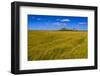 Germany, Schleswig-Holstein, North Frisia, Reu§enkšge, Hamburg Hallig-Udo Siebig-Framed Photographic Print