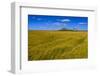 Germany, Schleswig-Holstein, North Frisia, Reu§enkšge, Hamburg Hallig-Udo Siebig-Framed Photographic Print