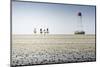 Germany, Schleswig-Holstein, Pellworm, Mud Flats, Rider-Ingo Boelter-Mounted Photographic Print