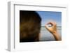 Germany, Schleswig-Holstein, Pellworm, Mud Flats, Wadden Sea, Lighthouse, Woman, Hand, Finger, View-Ingo Boelter-Framed Photographic Print