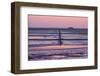 Germany, Schleswig-Holstein, Peninsula North Beach-Udo Siebig-Framed Photographic Print