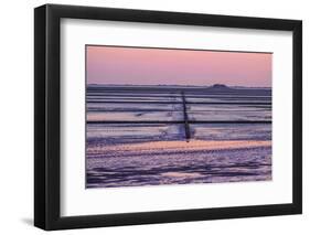 Germany, Schleswig-Holstein, Peninsula North Beach-Udo Siebig-Framed Photographic Print