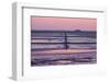 Germany, Schleswig-Holstein, Peninsula North Beach-Udo Siebig-Framed Photographic Print