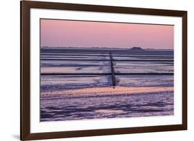 Germany, Schleswig-Holstein, Peninsula North Beach-Udo Siebig-Framed Photographic Print