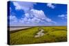 Germany, Schleswig-Holstein, Peninsula North Beach-Udo Siebig-Stretched Canvas