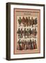 Germany Sports Knee-Britches and Pantaloons Arms and the Man-Friedrich Hottenroth-Framed Premium Giclee Print
