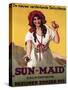 Germany - Sun-Maid California Raisin Poster-Lantern Press-Stretched Canvas