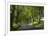 Germany, the Baltic Sea, Western Pomerania, Island RŸgen, Tree Avenue-Chris Seba-Framed Photographic Print