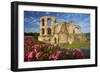 Germany, the Moselle, Trier, Imperial Baths-Chris Seba-Framed Photographic Print
