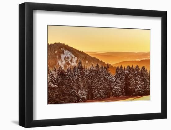 Germany, Thuringia, Gehlberg, SchmŸcke, Mountain Silhouettes, Spruces, Snow, Back Light-Harald Schšn-Framed Photographic Print