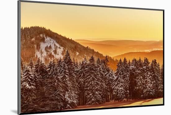 Germany, Thuringia, Gehlberg, SchmŸcke, Mountain Silhouettes, Spruces, Snow, Back Light-Harald Schšn-Mounted Photographic Print