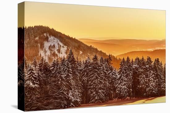 Germany, Thuringia, Gehlberg, SchmŸcke, Mountain Silhouettes, Spruces, Snow, Back Light-Harald Schšn-Stretched Canvas