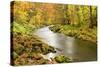 Germany, Thuringia-Andreas Vitting-Stretched Canvas