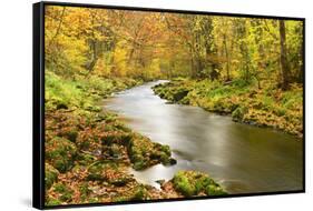 Germany, Thuringia-Andreas Vitting-Framed Stretched Canvas