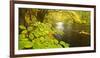 Germany, Thuringia-Andreas Vitting-Framed Photographic Print