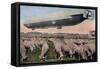 Germany - View of a Zeppelin Blimp over Grazing Sheep-Lantern Press-Framed Stretched Canvas