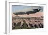 Germany - View of a Zeppelin Blimp over Grazing Sheep-Lantern Press-Framed Art Print