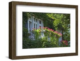 Germany, Weser Hills, Lower Saxony, Bad Pyrmont, Jugendstil Villa, Balcony, Flowers-Chris Seba-Framed Photographic Print