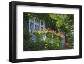 Germany, Weser Hills, Lower Saxony, Bad Pyrmont, Jugendstil Villa, Balcony, Flowers-Chris Seba-Framed Photographic Print