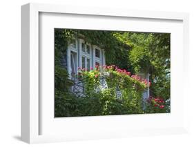 Germany, Weser Hills, Lower Saxony, Bad Pyrmont, Jugendstil Villa, Balcony, Flowers-Chris Seba-Framed Photographic Print
