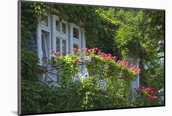 Germany, Weser Hills, Lower Saxony, Bad Pyrmont, Jugendstil Villa, Balcony, Flowers-Chris Seba-Mounted Photographic Print