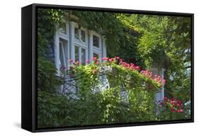 Germany, Weser Hills, Lower Saxony, Bad Pyrmont, Jugendstil Villa, Balcony, Flowers-Chris Seba-Framed Stretched Canvas