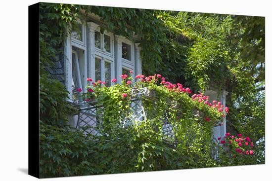 Germany, Weser Hills, Lower Saxony, Bad Pyrmont, Jugendstil Villa, Balcony, Flowers-Chris Seba-Stretched Canvas