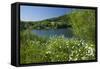 Germany, Weser Hills, Lower Saxony, Heinsen, Lake, Bath Bay, Shore, Marguerites-Chris Seba-Framed Stretched Canvas