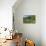 Germany, Weser Hills, Lower Saxony, Heinsen, Lake, Bath Bay, Shore, Marguerites-Chris Seba-Stretched Canvas displayed on a wall