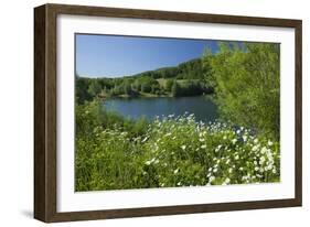 Germany, Weser Hills, Lower Saxony, Heinsen, Lake, Bath Bay, Shore, Marguerites-Chris Seba-Framed Photographic Print