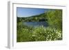 Germany, Weser Hills, Lower Saxony, Heinsen, Lake, Bath Bay, Shore, Marguerites-Chris Seba-Framed Photographic Print