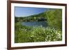 Germany, Weser Hills, Lower Saxony, Heinsen, Lake, Bath Bay, Shore, Marguerites-Chris Seba-Framed Photographic Print