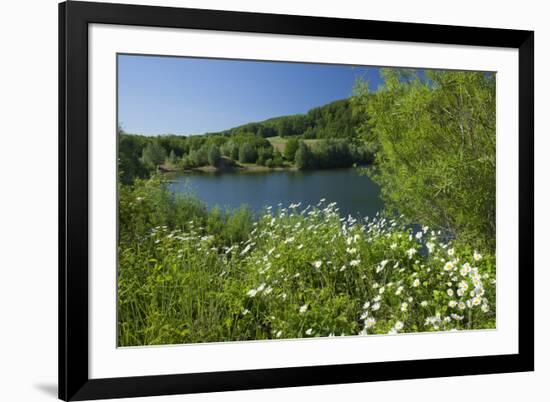 Germany, Weser Hills, Lower Saxony, Heinsen, Lake, Bath Bay, Shore, Marguerites-Chris Seba-Framed Photographic Print