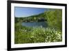 Germany, Weser Hills, Lower Saxony, Heinsen, Lake, Bath Bay, Shore, Marguerites-Chris Seba-Framed Photographic Print