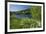 Germany, Weser Hills, Lower Saxony, Heinsen, Lake, Bath Bay, Shore, Marguerites-Chris Seba-Framed Photographic Print