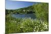 Germany, Weser Hills, Lower Saxony, Heinsen, Lake, Bath Bay, Shore, Marguerites-Chris Seba-Mounted Photographic Print