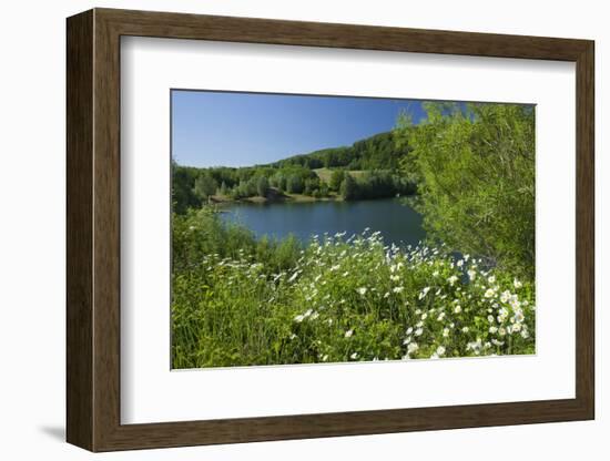 Germany, Weser Hills, Lower Saxony, Heinsen, Lake, Bath Bay, Shore, Marguerites-Chris Seba-Framed Photographic Print