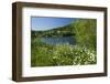 Germany, Weser Hills, Lower Saxony, Heinsen, Lake, Bath Bay, Shore, Marguerites-Chris Seba-Framed Photographic Print