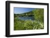 Germany, Weser Hills, Lower Saxony, Heinsen, Lake, Bath Bay, Shore, Marguerites-Chris Seba-Framed Photographic Print