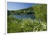 Germany, Weser Hills, Lower Saxony, Heinsen, Lake, Bath Bay, Shore, Marguerites-Chris Seba-Framed Premium Photographic Print