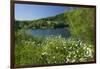 Germany, Weser Hills, Lower Saxony, Heinsen, Lake, Bath Bay, Shore, Marguerites-Chris Seba-Framed Premium Photographic Print